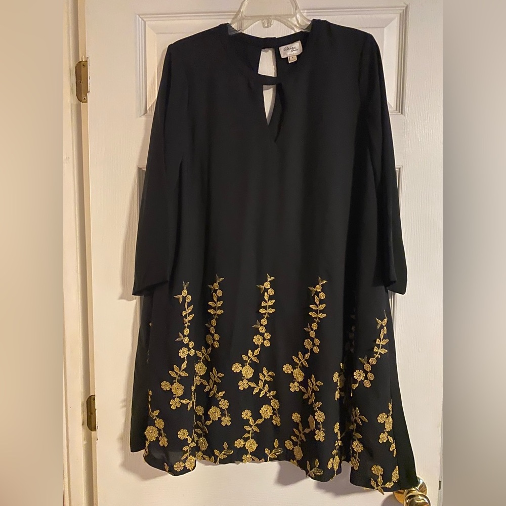 Women’ Size Large Beige by Eci Chiffon Embroidered Swing Dress *FINAL PRICE